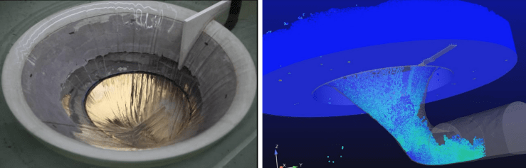 MorningGloryComparison